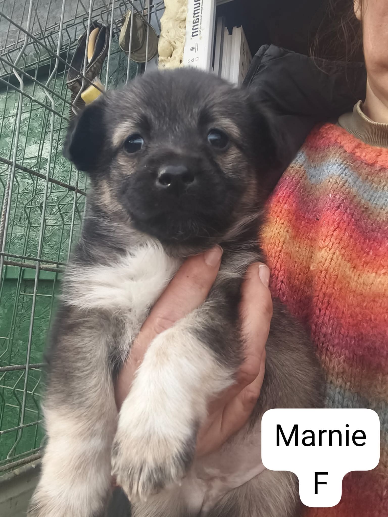Marnie